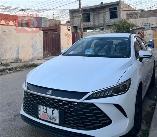 بي واي دي Qin Plus 2025 للبيع في العراق - مسيب